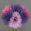 GERBERA BUNDLE X7  12"  PURPLE/PINK/LAVENDER