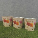 PLANTER TIN 3/SET W/LINERS DAISY/GERB PRINT