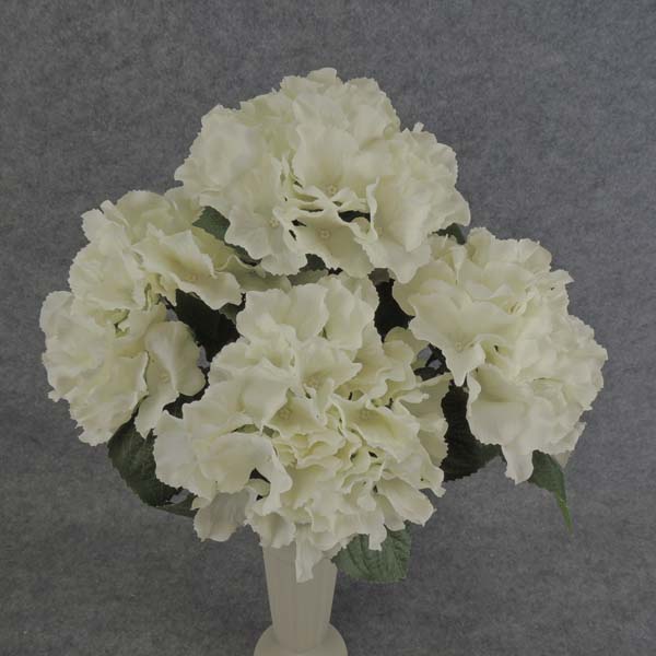 HYDRANGEA BUSH X5   18"  CREAM