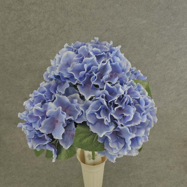 HYDRANGEA BUSH X5   18"  LAVENDER