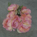 RANUNCULUS BOKAY 11" X10  CREAM/PINK