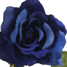 ROSE X3 LIFE LIKE 2 TONE BLUE