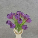 CROCUS BUSH X12 10.5" DK PURPLE