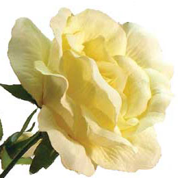 ROSE X3 LIFE LIKE   LT. YELLOW