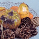 PUMPKIN/GOURD/CONES IN MESH BAG