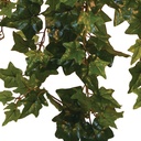 FOLIAGE REAL TOUCH GRAPE IVY X9 W/162 LVS