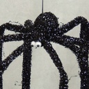SPIDER BLACK 2.75"x1.75"(BODY)