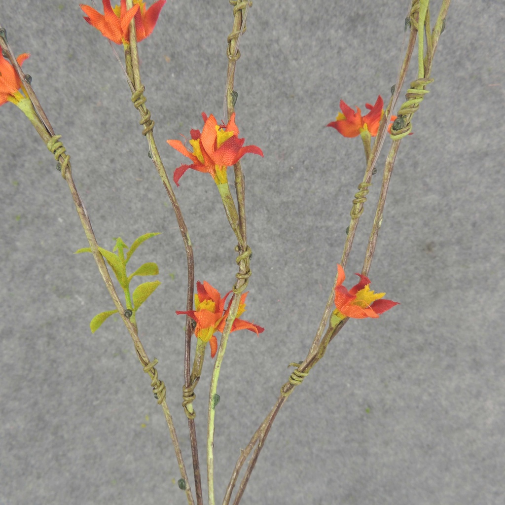 BLOSSOM SPRAY X5 34&quot; ORANGE