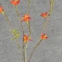 BLOSSOM SPRAY X5 34&quot; ORANGE