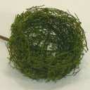 NEST 4" MOSSY W/9" PICK (6/BAG)