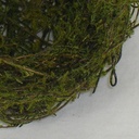 NEST 4" MOSSY