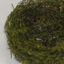 NEST 5" MOSSY