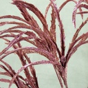 GLITTER DRYANDRA GRASS BUSH  PINK