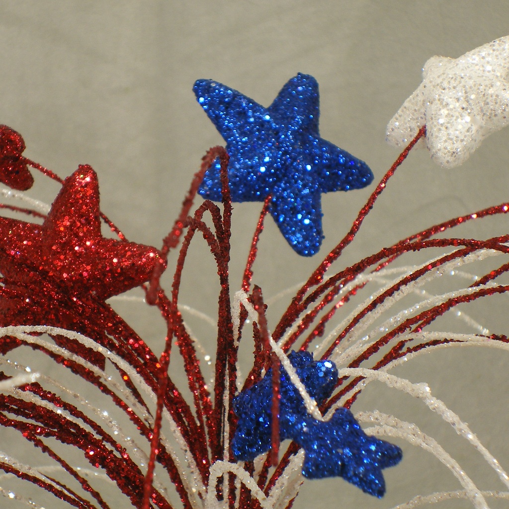 AMERICANA STAR SPRAY  33"