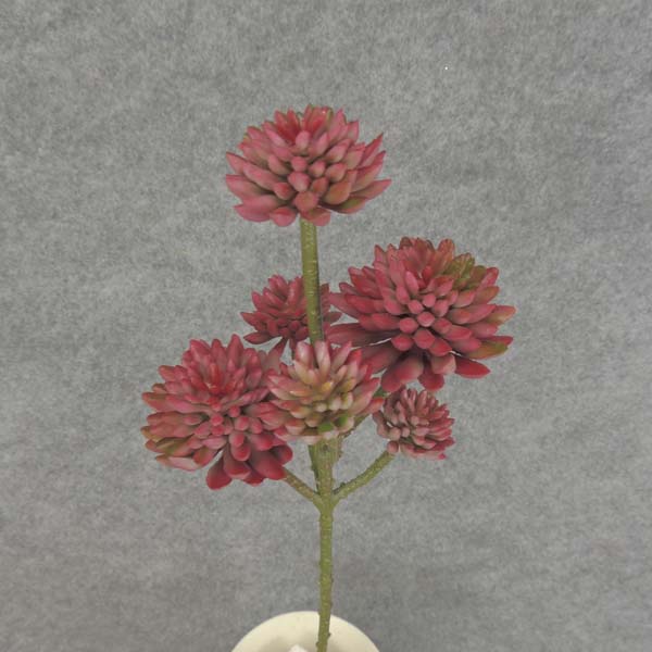 SUCCULENT SPRAY X6  17"  BURGUNDY