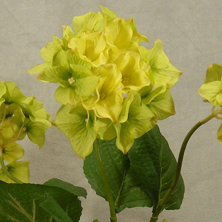 HYDRANGEA SPRAY X1 16.5&quot;(3/BDL)