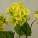 HYDRANGEA SPRAY X1 16.5&quot;(3/BDL)