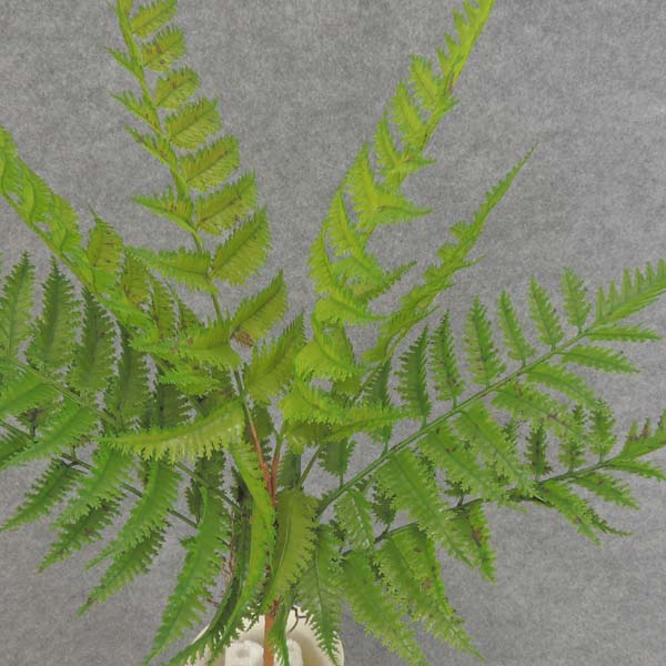 FERN SPRAY X8 22.5"