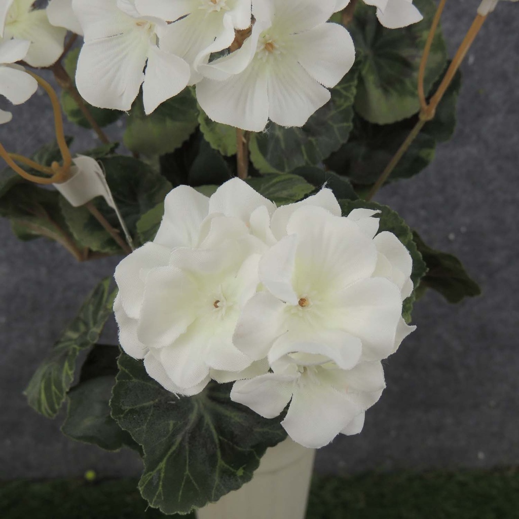 GERANIUM BUSH 14.5" X7  WHITE