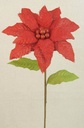 POINSETTIA BURLAP 28" RED