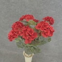 GERANIUM BUSH 18" X9 RED       