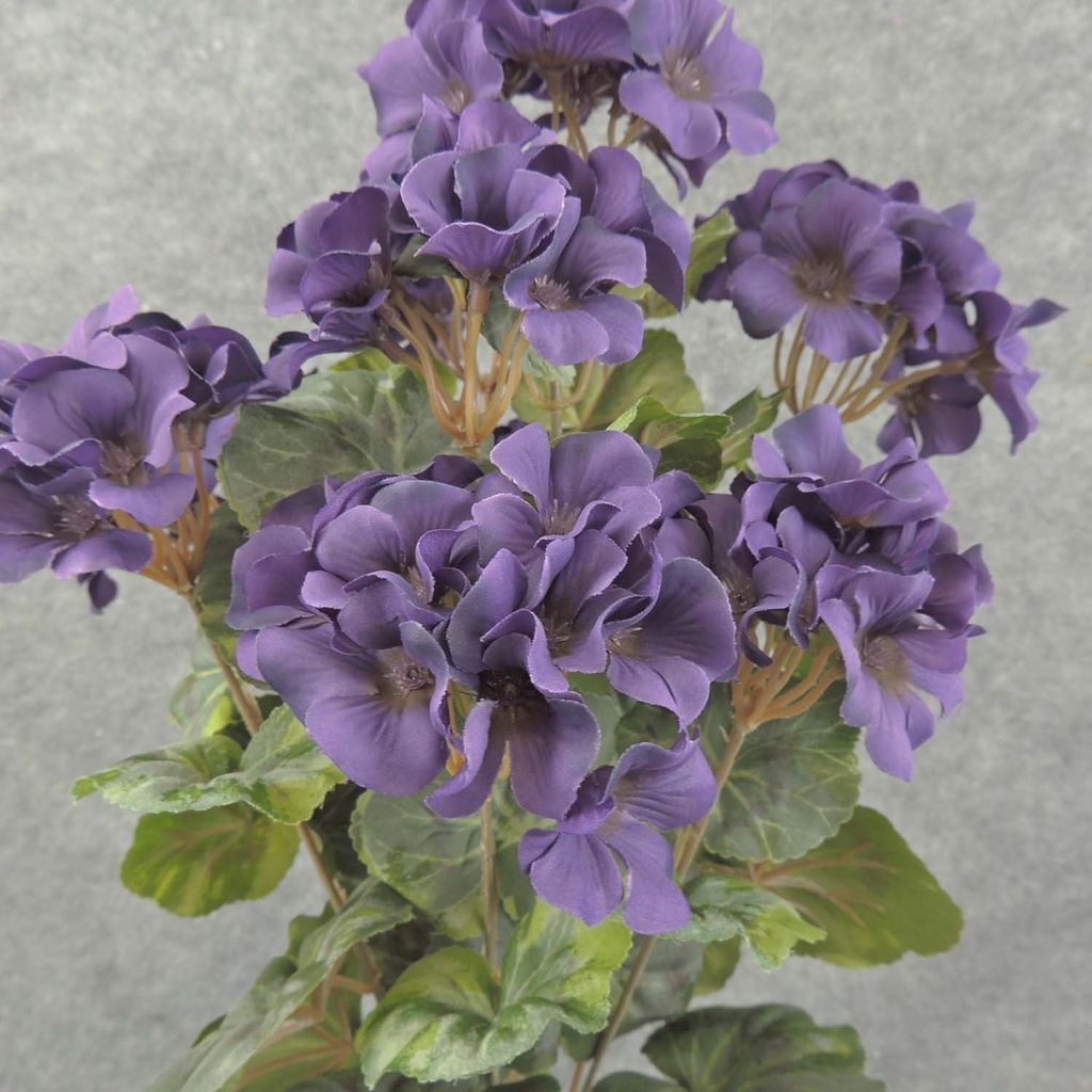 GERANIUM BUSH 18" X9 PURPLE