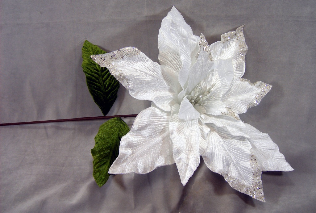 POINSETTIA VELVET W/GLITTER 44"  WHITE