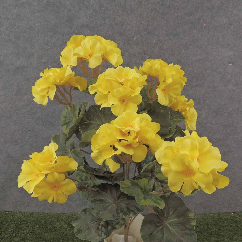 GERANIUM BUSH 18" X9 YELLOW