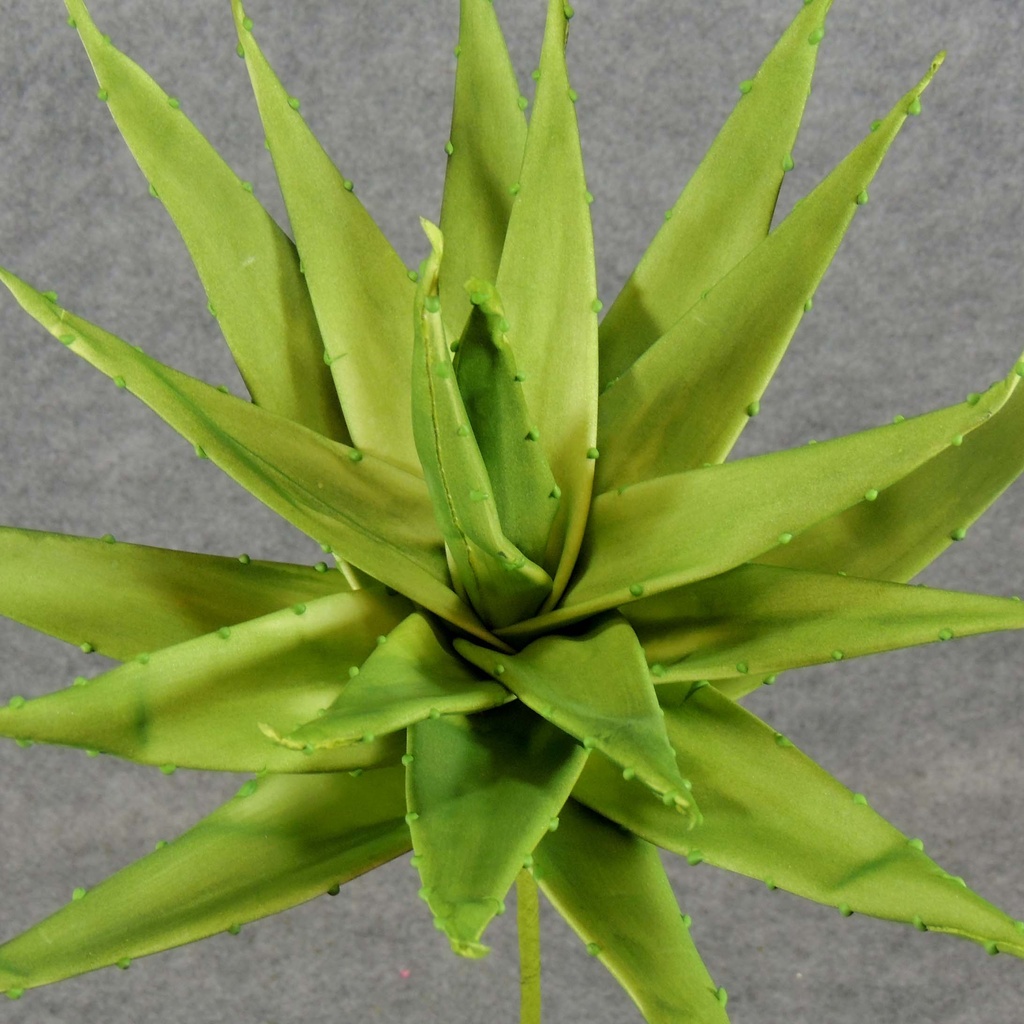 SUCCULENT PLANT 22"