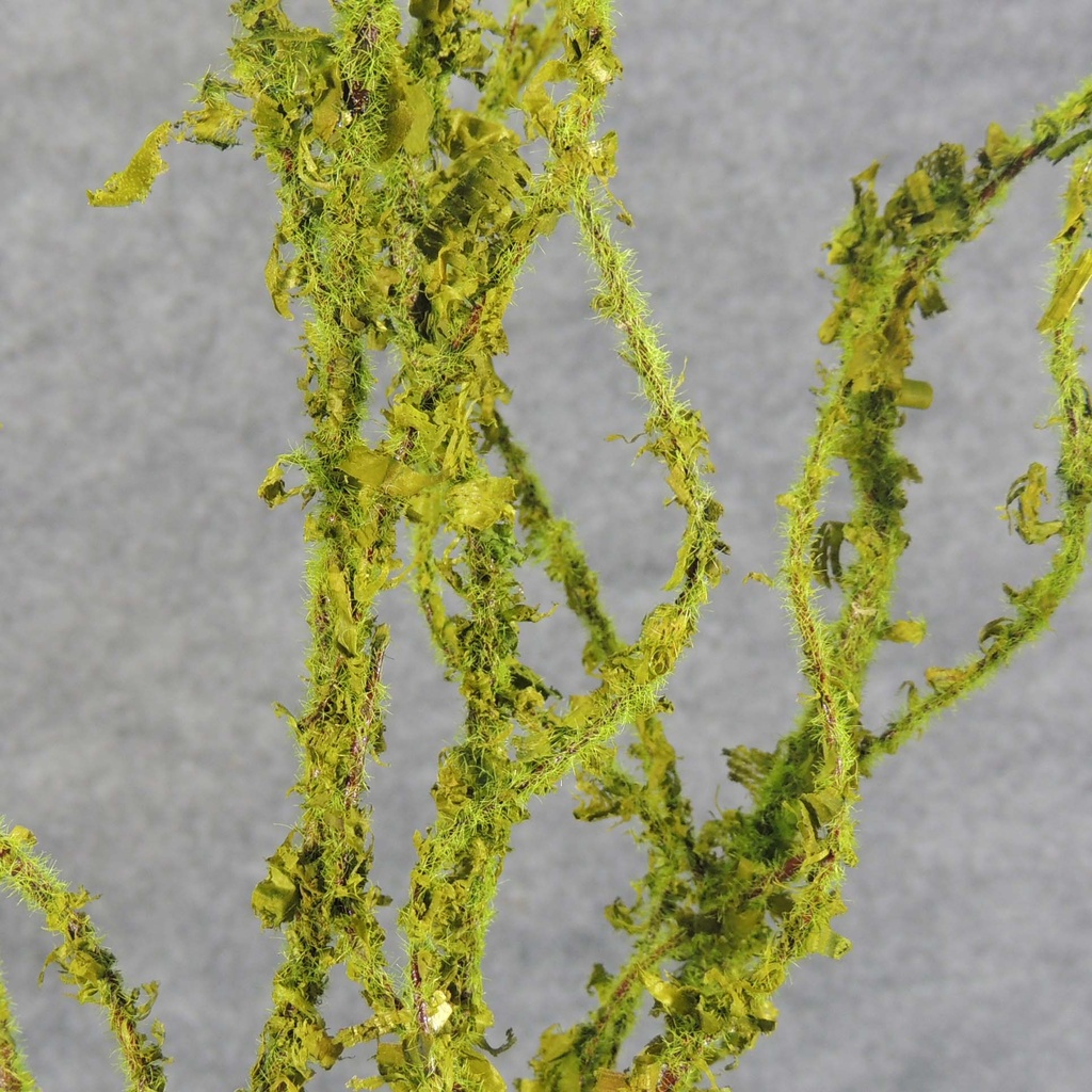 TWIG BRANCHES MOSS/FLOCKED 24" X5 GREEN