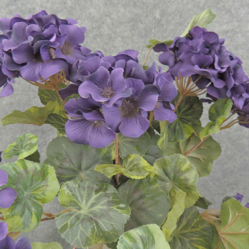 GERANIUM BUSH W/VINES 20x15"    X12 PURPLE