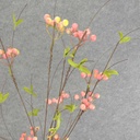 TWIG/BERRY SPRAY X7 32"  CREAM/PINK