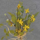 FORSYTHIA MIX BUNDLE 14" X6