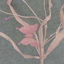 BUTTERFLY GRASS SPRAY 30&quot;  LIGHT PINK