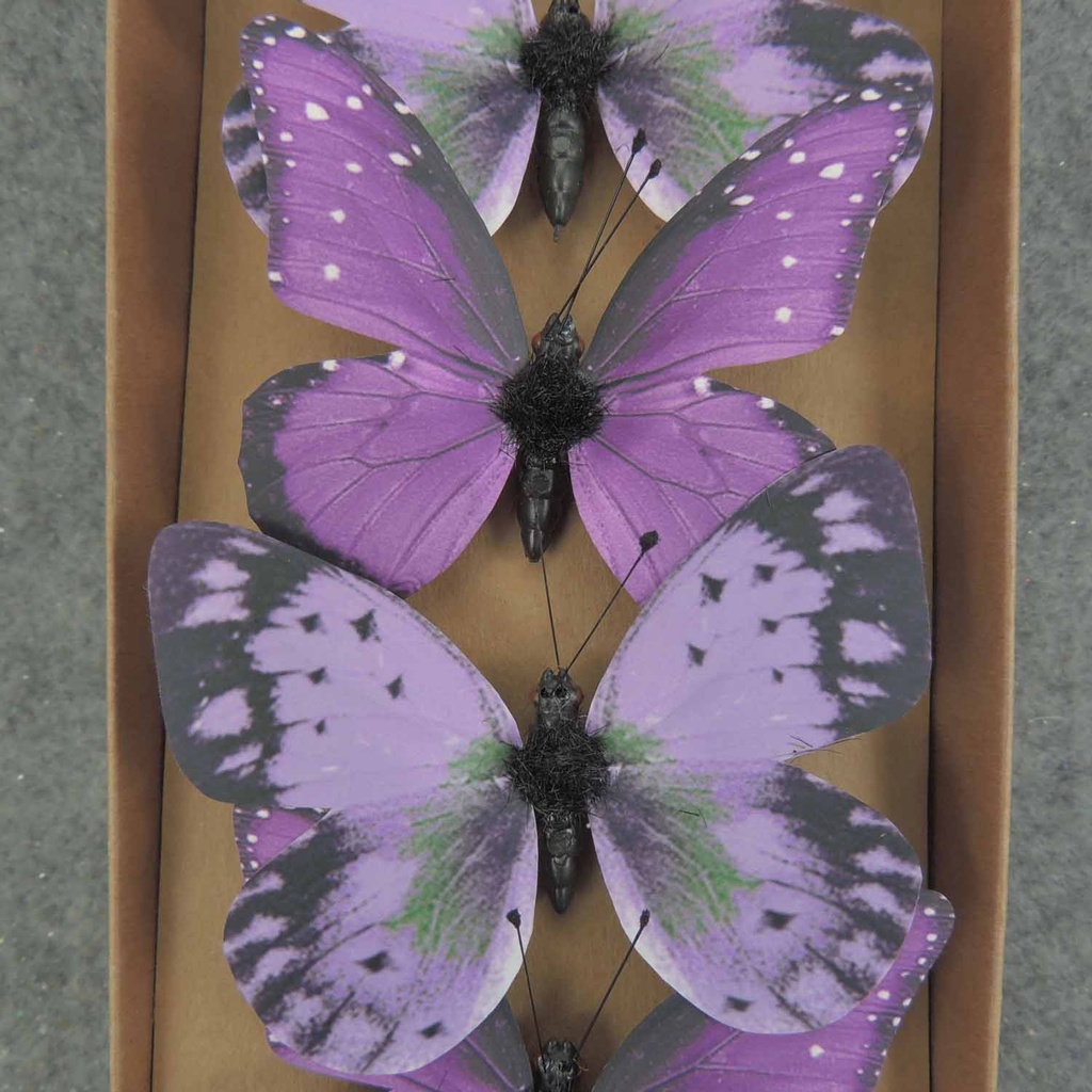 BUTTERFLY PRINTED 3&quot; W/WIRE 6/BOX 2-AST PURPL