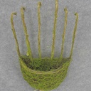 RAKE PLANTER TWIG/MOSS 10x28"