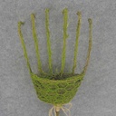 RAKE PLANTER TWIG/MOSS SMALL 8x28"