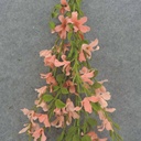 BLOSSOM/LEAF GARLAND 52" PEACH