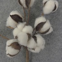 COTTON PICK 16" ARTIFICIAL