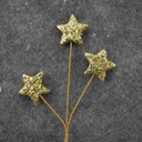 STAR PICK X3 19" (6/BAG) SMALL  GOLD