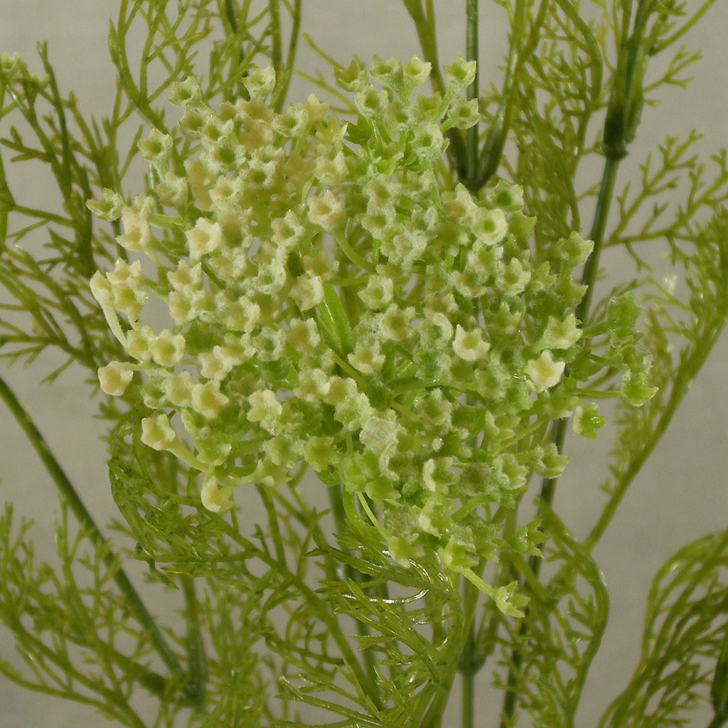 DILL SPRAY X2 28" (3/BUNDLE)  CREAM/GREEN