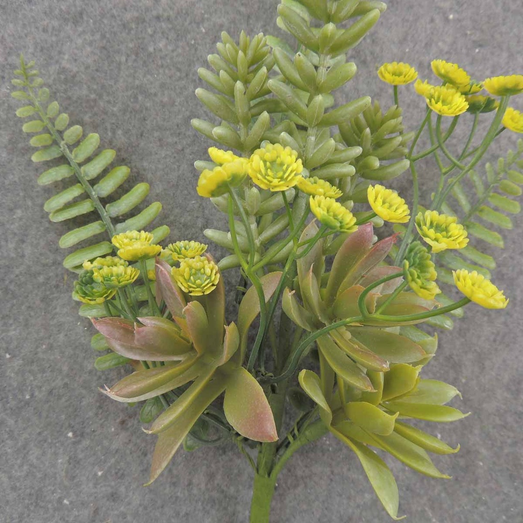 FERN/SUCCULENT/QAL PICK 13" 