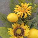 SUNFLOWER/LEMON SPRAY  20" 