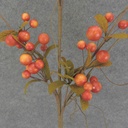 BERRY LEAF SPRAY 32&quot; ORANGE