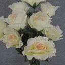 ROSE BUSH X12 23" 4"/2.5"dia  CREAM