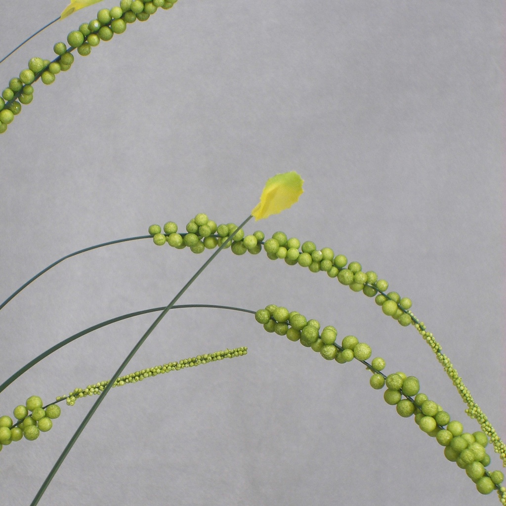 GRASS ONION W/BUBBLEBERRIES 36" (6/BAG)