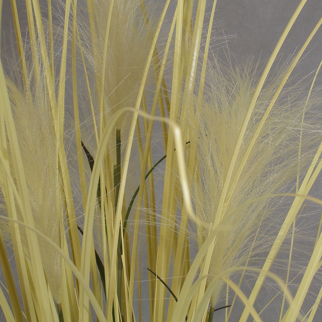 GRASS BULRUSH BUSH 36"