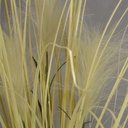 GRASS BULRUSH BUSH 36"