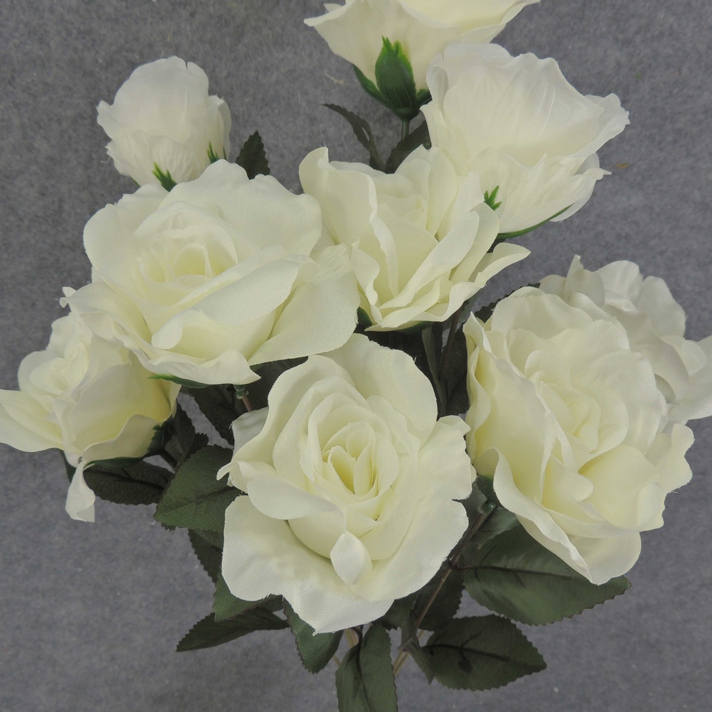 ROSE BUSH X12 23" 4"/2.5"dia  CREAM/WHITE