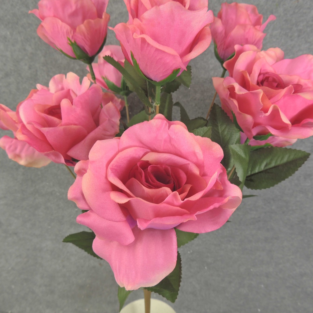 ROSE BUSH X12 23" 4"/2.5"dia  PINK